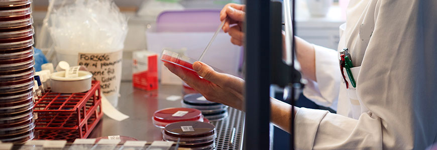 ​​​​Billede fra Klinisk Mikrobiologisk afdeling på Rigshospitalet. Foto: Tomas Bertelsen