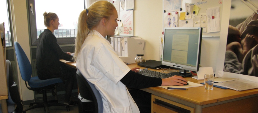 To phd-studerende sidder og arbejder ved hver deres computer