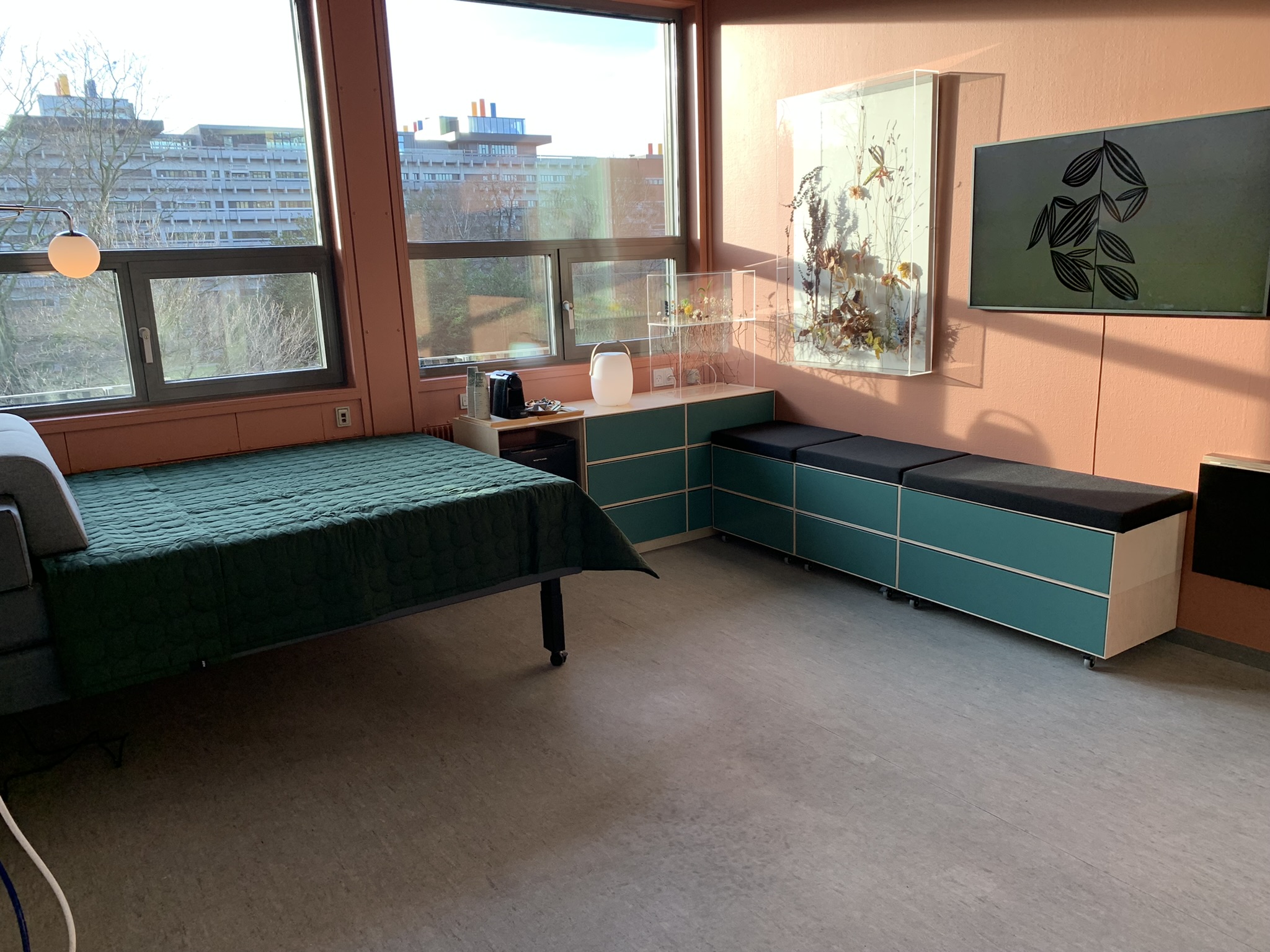 Billede af stuen med seng, skuffeelementer, kunst og fjernsyn
