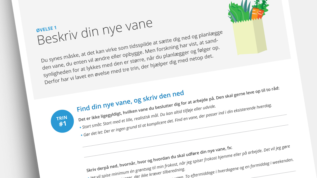 Screenshot af øvelsesark 1